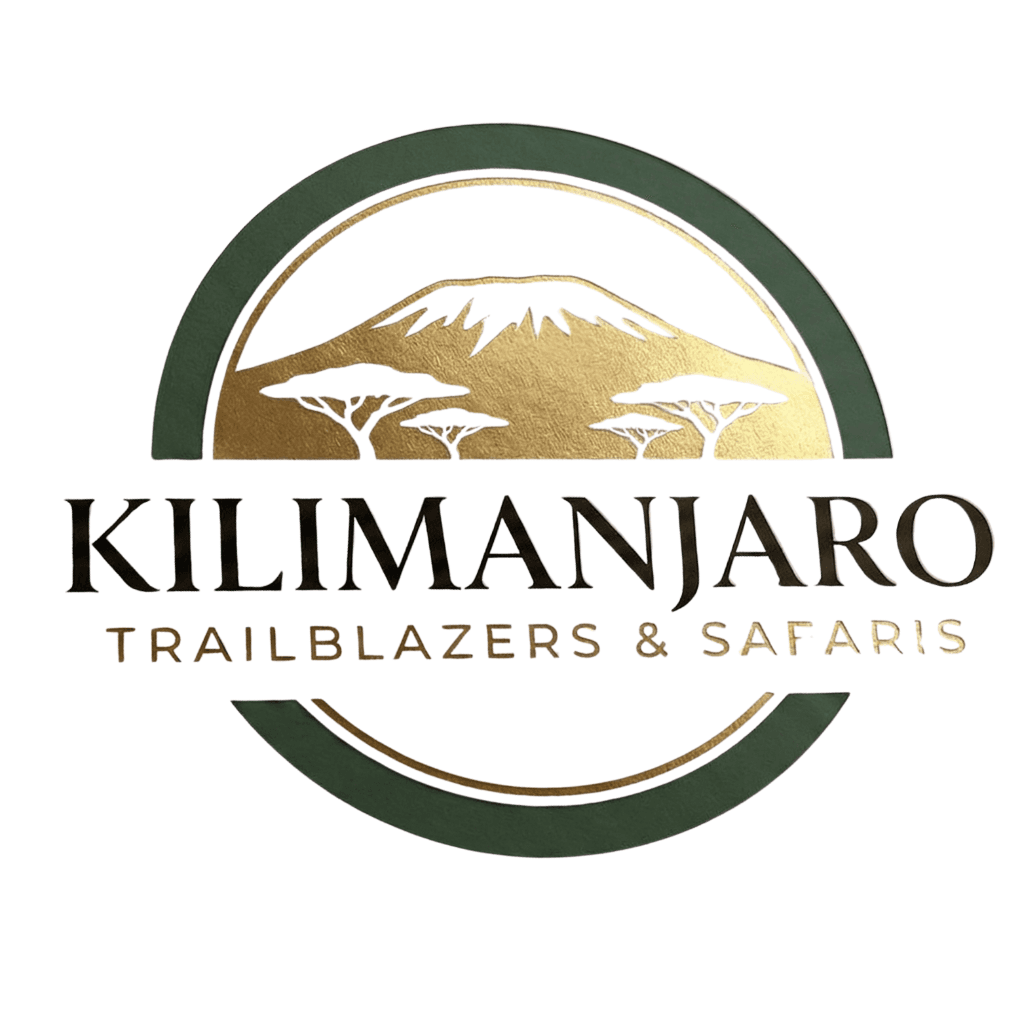 Kilimanjaro Trailblazers